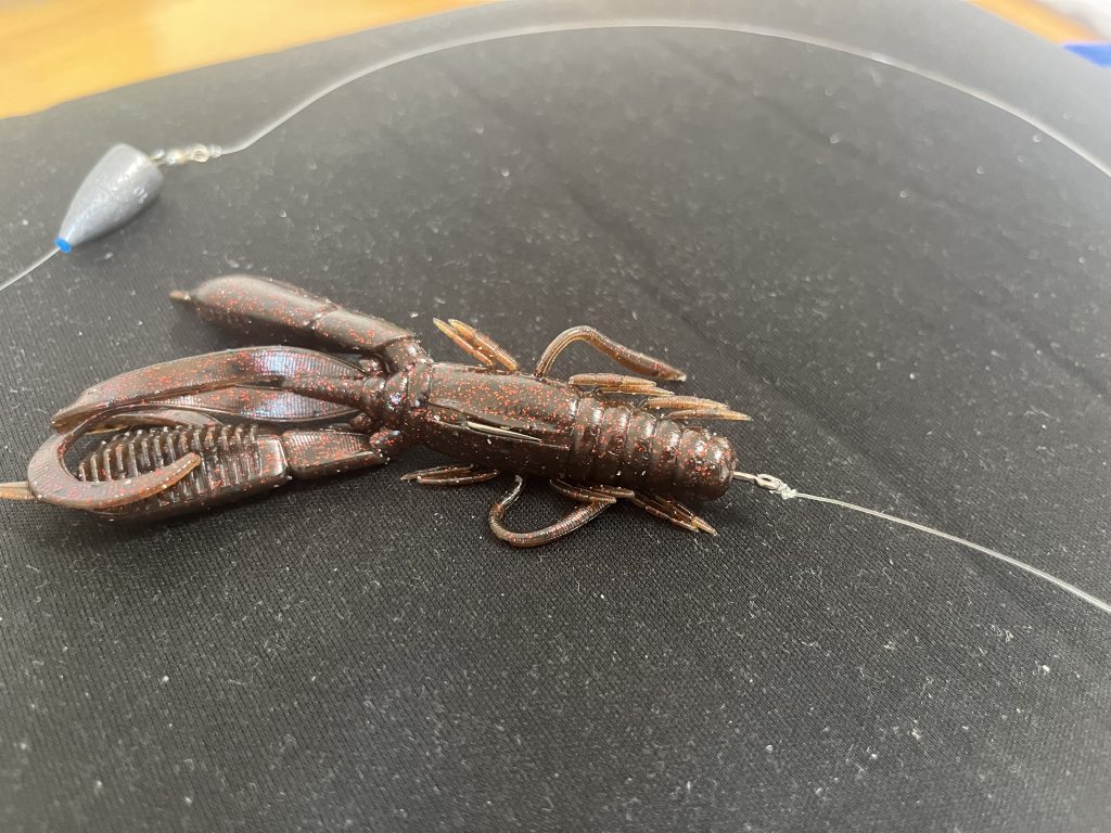 ヘビーキャロライナリグのセッティング