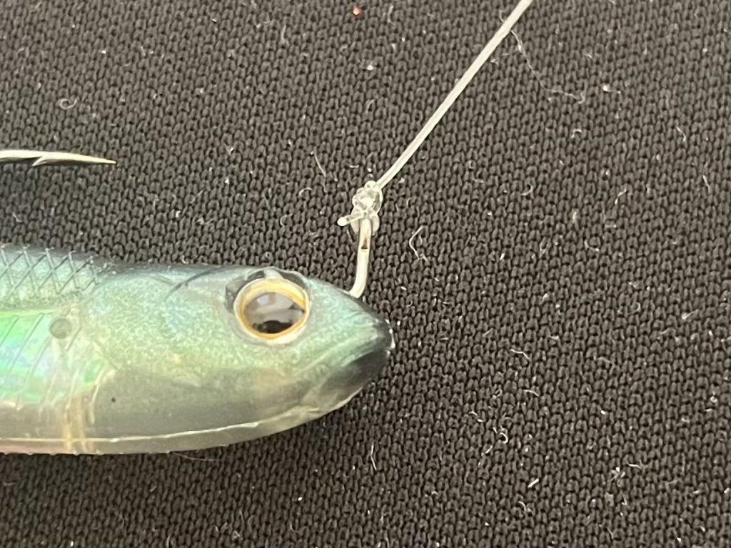 ホバストのラインアイ