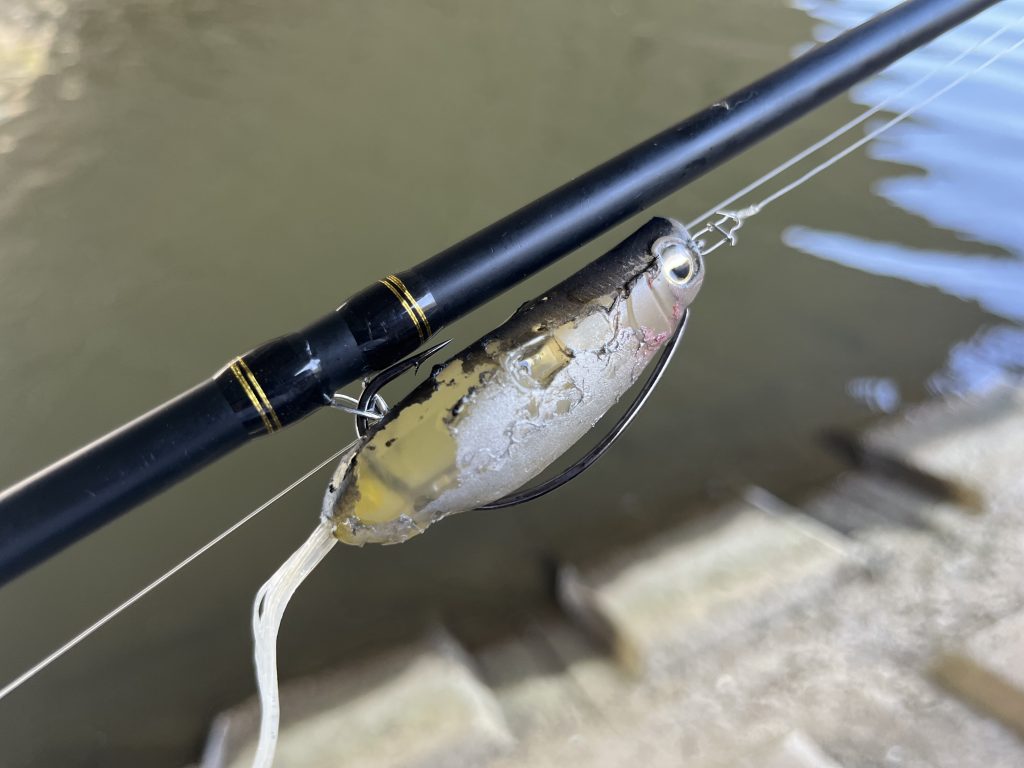 トップウォーター