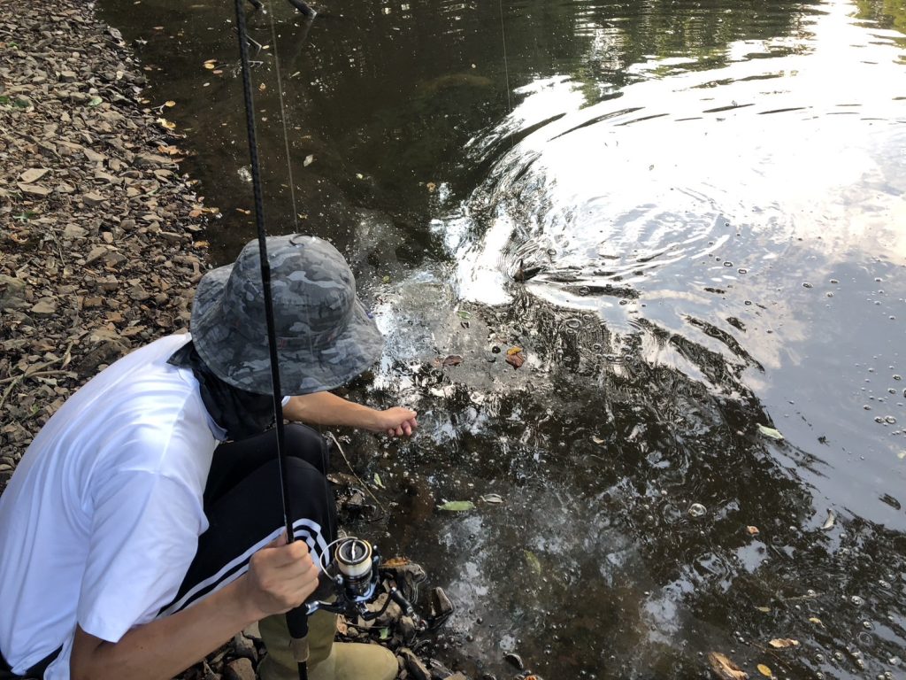 バスとファイトしている画像