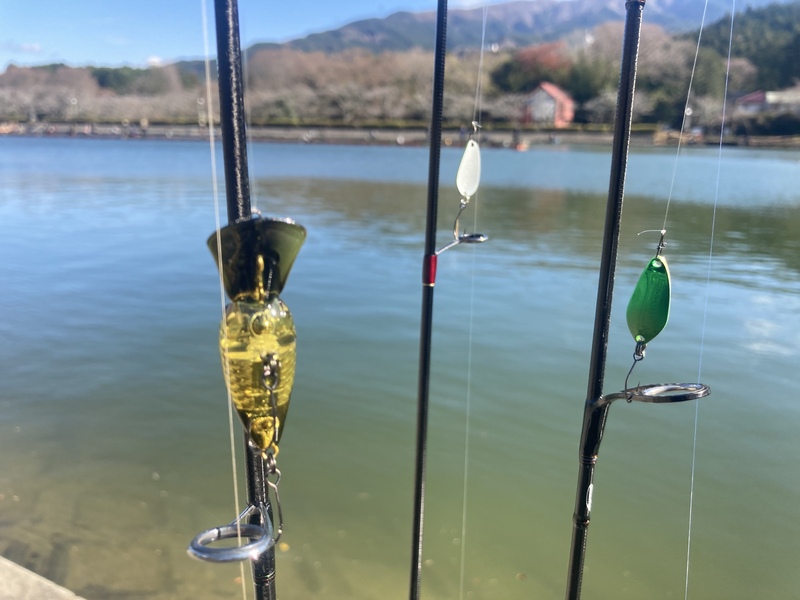 セッティングされたエリアトラウト用のルアー