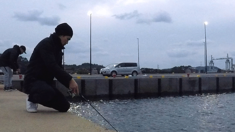 カマスのフッキングシーン