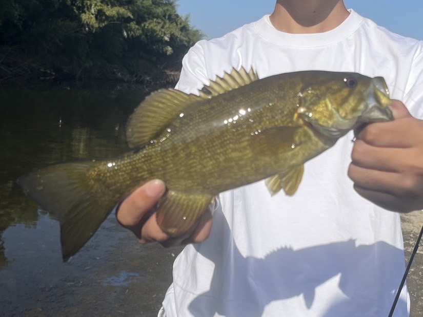 スモールマウスバスを手に持った写真