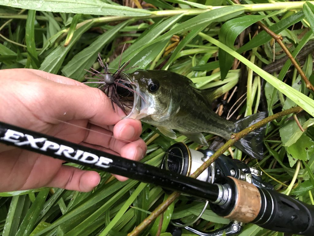 エクスプライドとバス