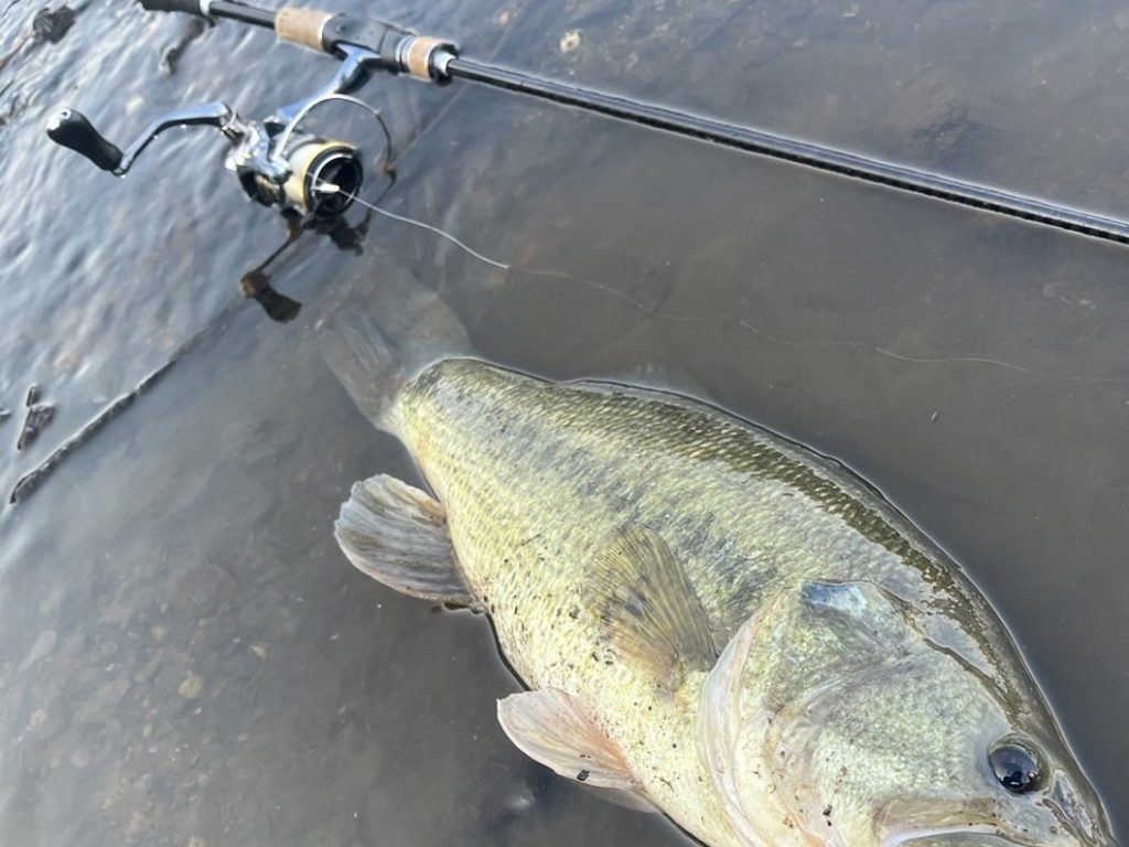 バスとスピニングタックルを映した写真