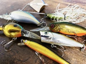 bassfishing-foul-lure-300x225.jpg