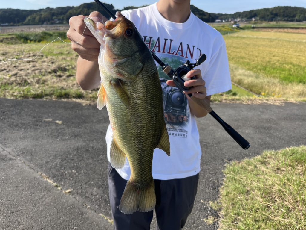 ベイトリールとバス