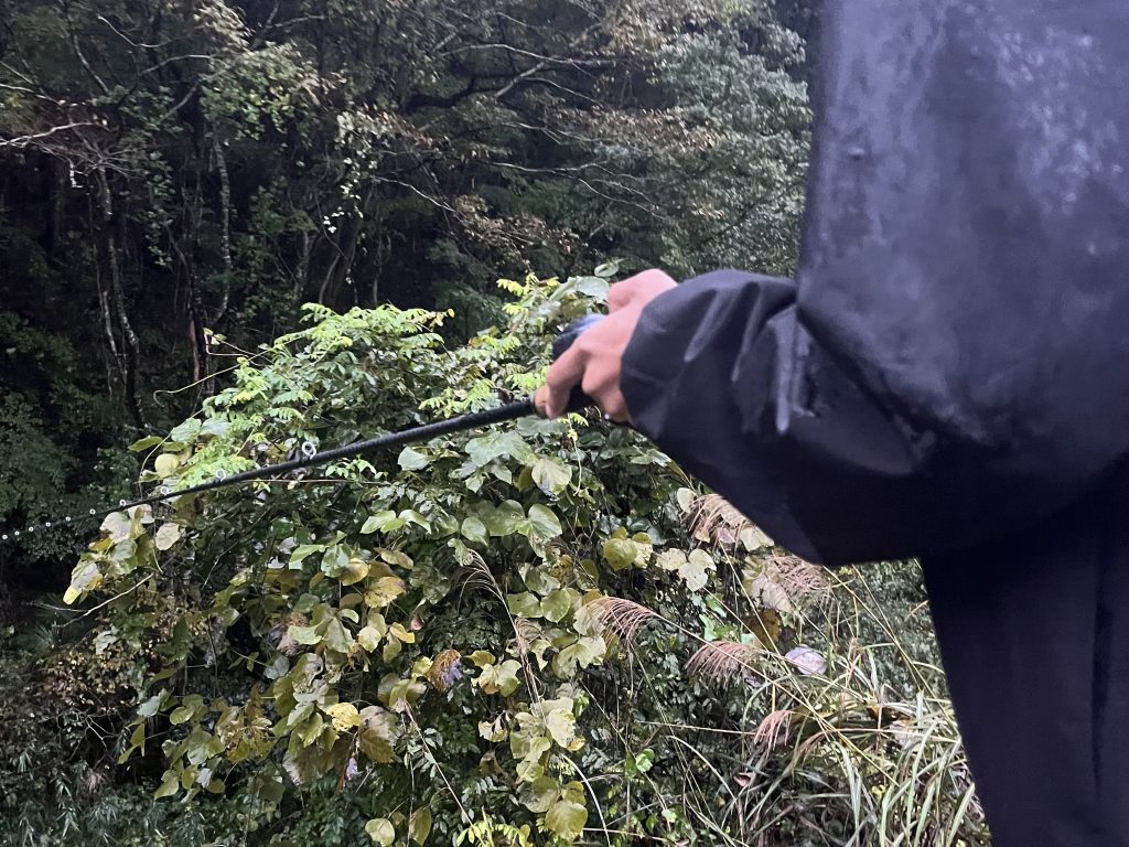 ベイトロッドと人間