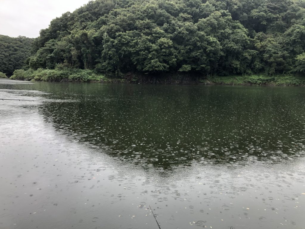 雨が降ったダム