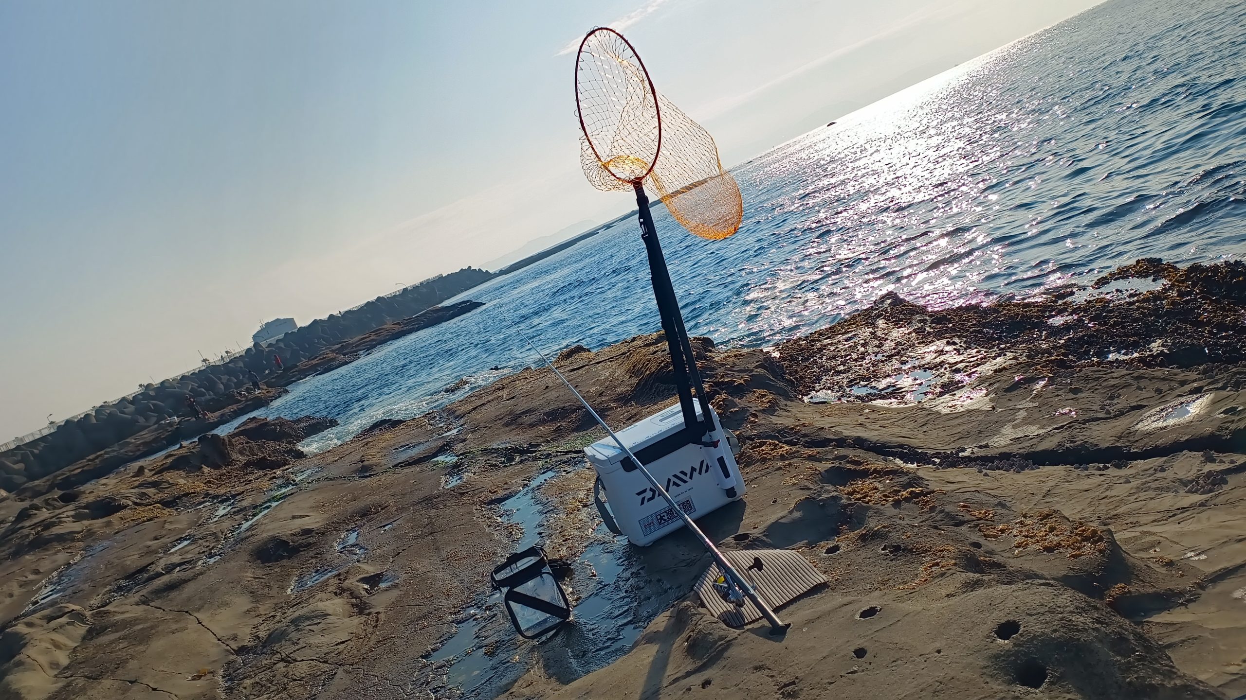 ランディングネットをクーラーボックスに取り付けたロッドホルターに装着しているところ。