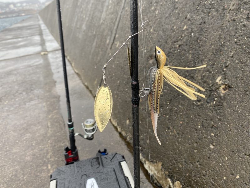 玉川さんのスピナーベイト