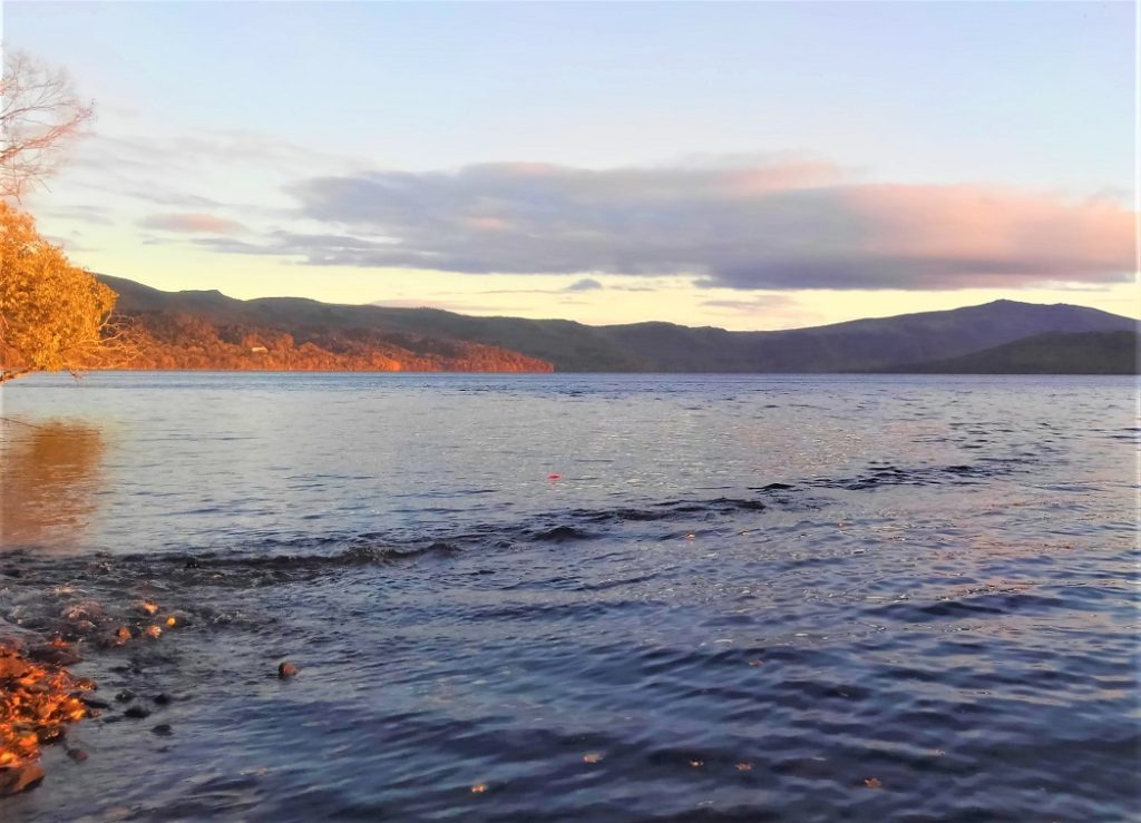 河口付近でヒマメスを狙う時のポイント