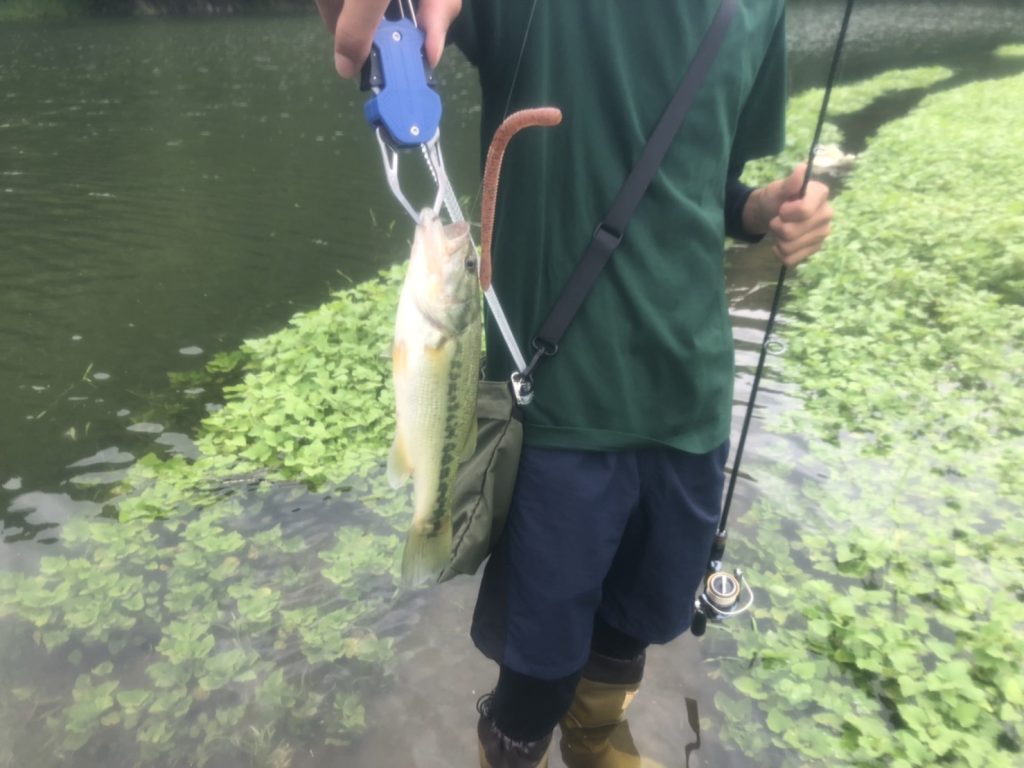 フィッシュグリップでバスを持った写真