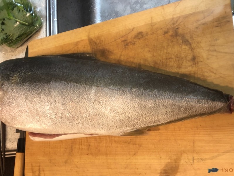 伊豆大島で釣ったブリをまな板の上で捌いているところ