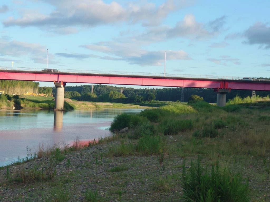 うなぎが釣れる川の写真