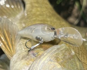 バス釣り】クランクベイトのおすすめ20選！選び方や最適なロッド
