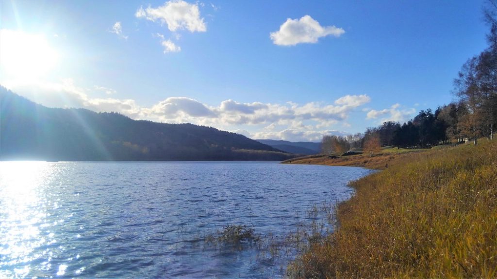 秋のダム湖の湖畔