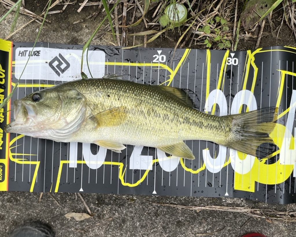 メジャーシートでバスのサイズを測った写真