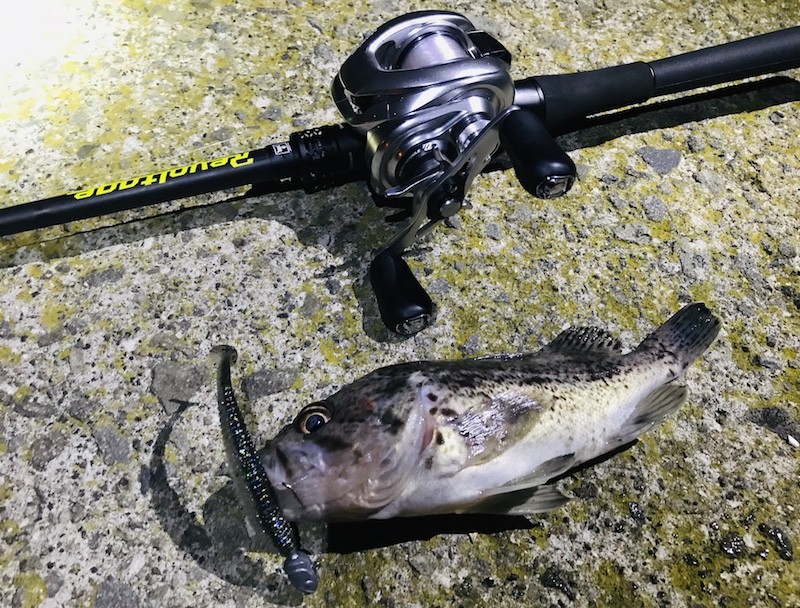 クロソイとリボルテージ