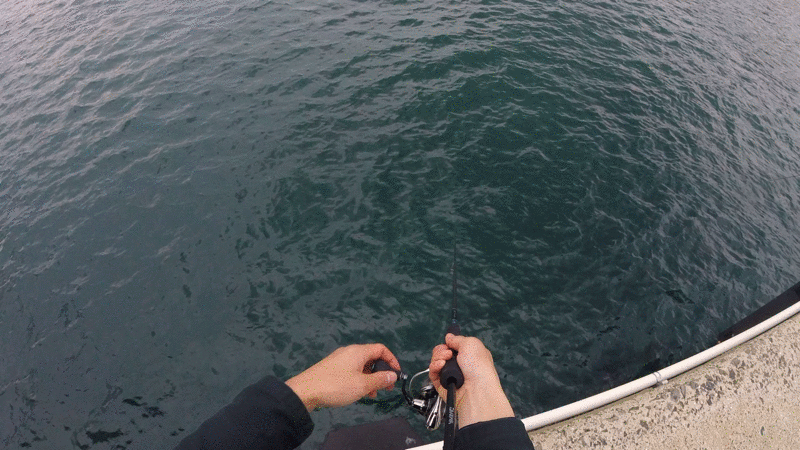 カマスをミノーで誘う時のやや遅リトリーブスピード