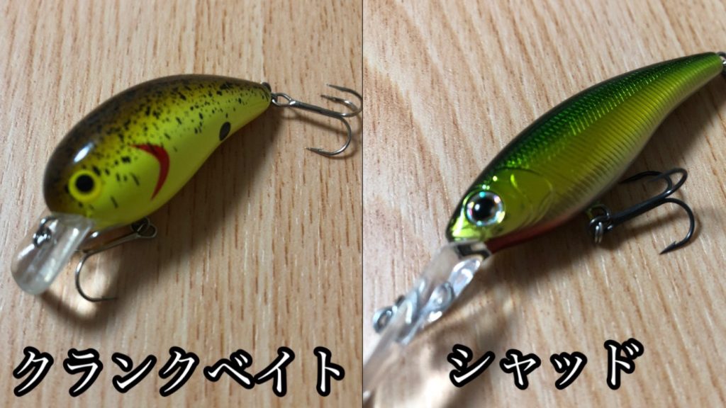 シャッドとクランクベイトの違い