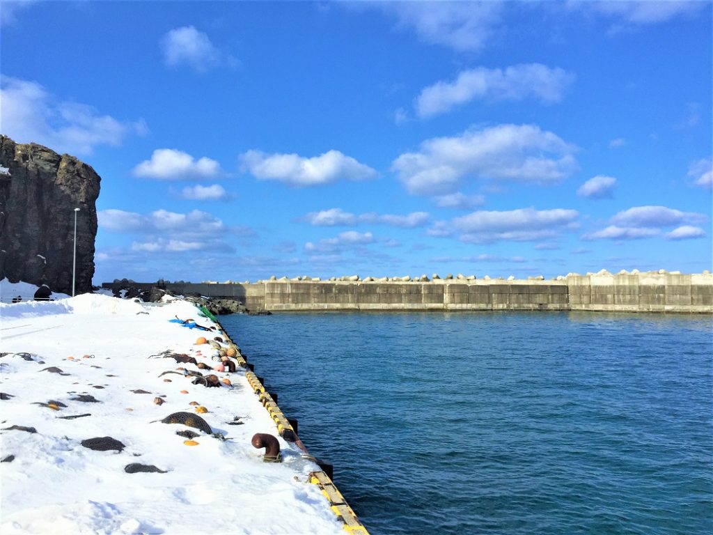 残雪残る早春の漁港