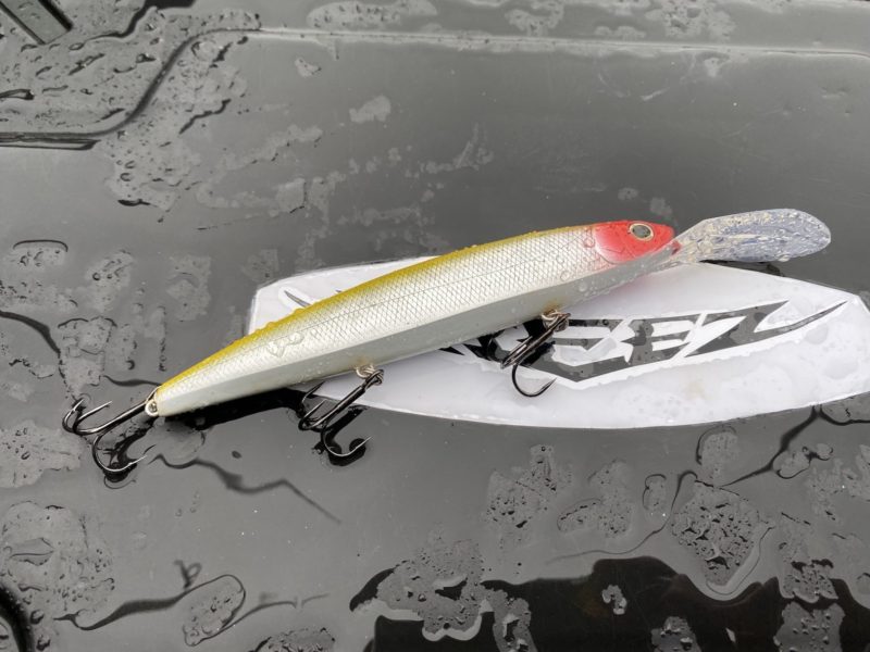 ヘッドがレッドで胴体がホワイトのミノー