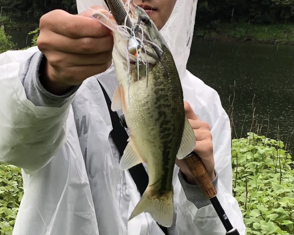 チャターベイトで釣れたバス