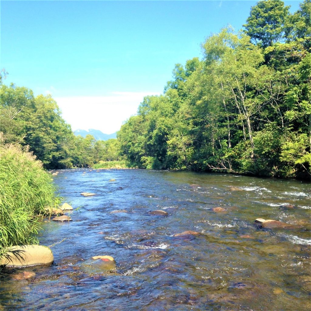 Trout_PE3