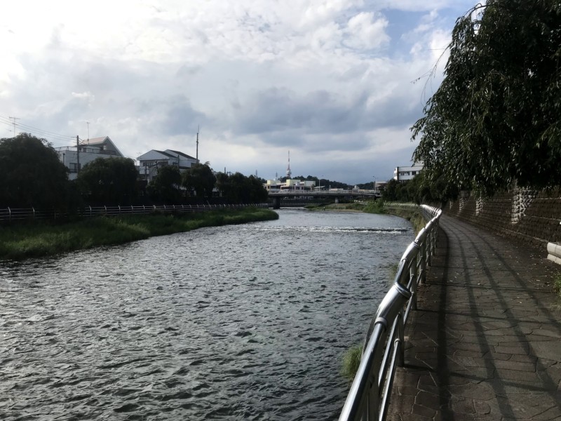 ウグイが潜んでいそうな小川。川縁には遊歩道がある。
