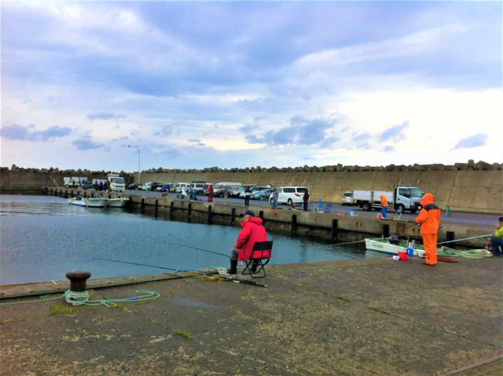 漁港でのアキアジウキフカセ