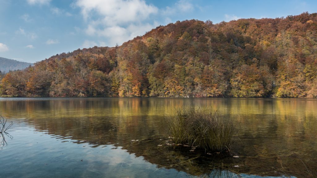 湖のほとり。水面に奥の山が反射している。