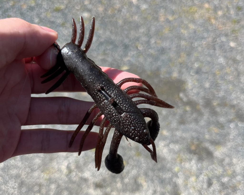 ザリガニワーム