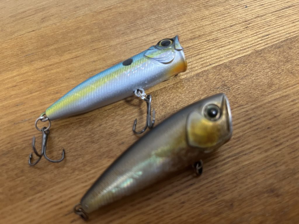 梅雨時期のバス釣りを徹底攻略！狙いどころや最適なルアー、注意