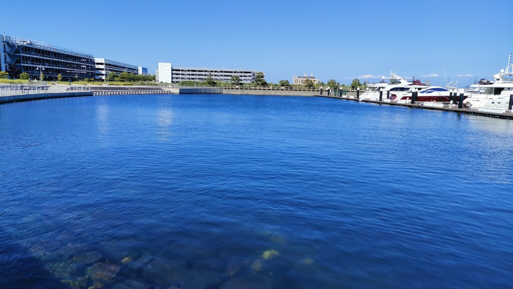 ベタ凪の日は攻めることが難しいのは確かだが、潮は必ず動いている。ノーチャンスということはない。
