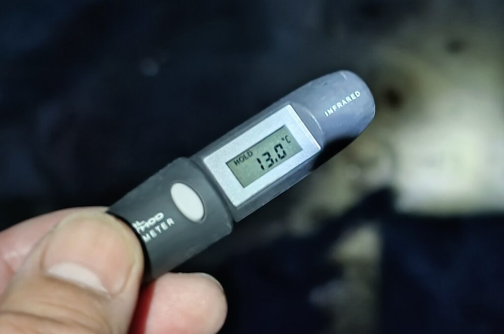 水温13℃は、メジナ釣りは厳しくなり始める水温、クロダイ釣りはまだまだ問題なし。