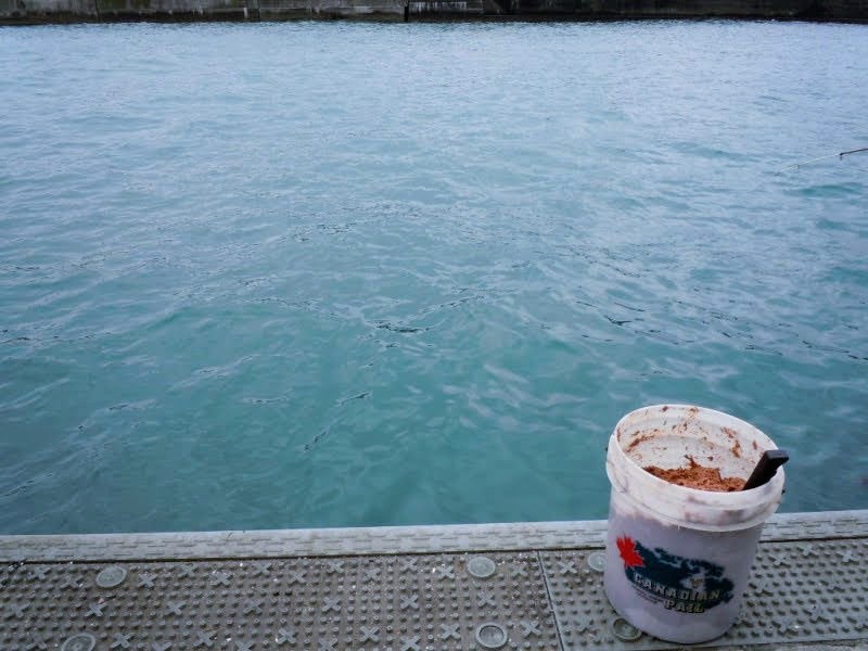 早川港(小田原漁港)の概要へと接続する船道は底が船舶のスクリューで掘られ、中心部が深く、岸に向かって駆け上がりができており、様々な魚が溜まる好ポイント。